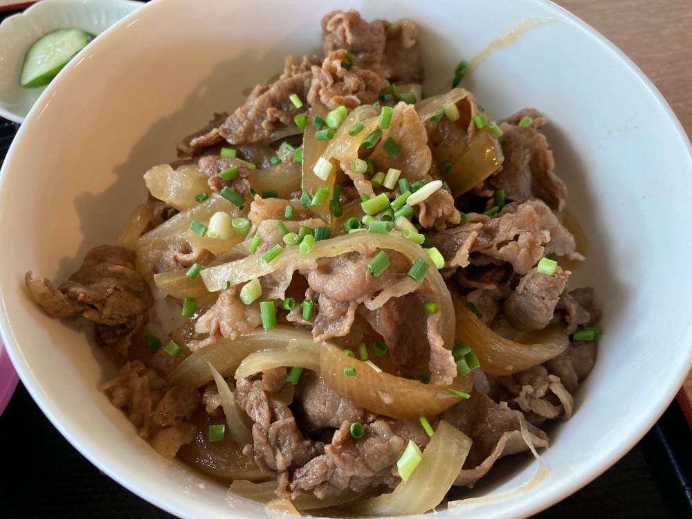 石垣島『あらだ家』の牛丼小そばセット