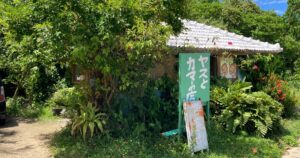 【写真付】ヤスとカマーの店の口コミレビュー!ソーキそばが美味すぎる!